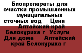 Биопрепараты для очистки промышленных (муниципальных) сточных вод. › Цена ­ 100 - Алтайский край, Белокуриха г. Услуги » Для дома   . Алтайский край,Белокуриха г.